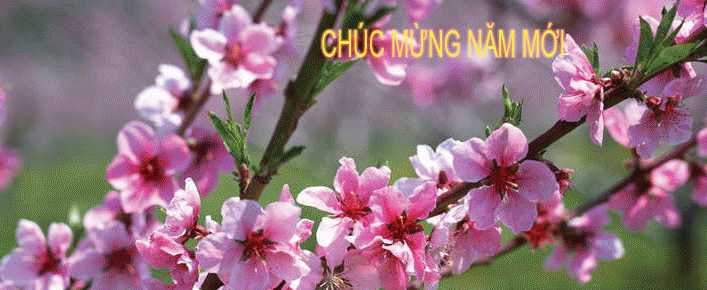 Tựu trường